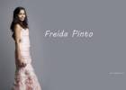 Freida Pinto (Фрида Пинто) в платье с сумочкой